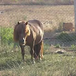 カントリーハウス Rurales Els Masos D'en Coll Llaviá