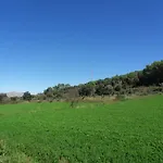 Rurales Els Masos D'en Coll