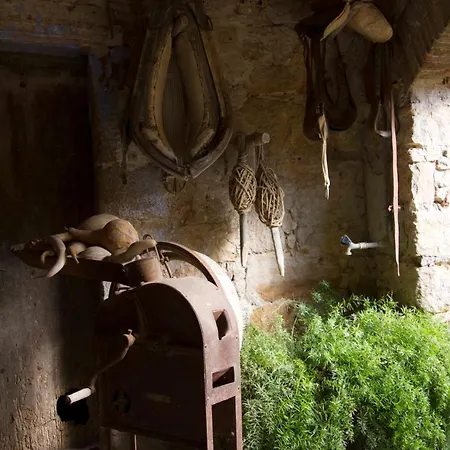 Rurales Els Masos D'en Coll Llaviá