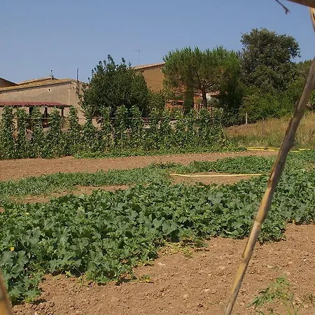 Rurales Els Masos D'en Coll Casa di campagna *