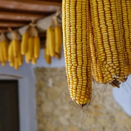 Rurales Els Masos D'en Coll Gospodarstwo wiejskie Llaviá