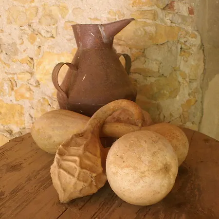 Rurales Els Masos D'en Coll * Llaviá