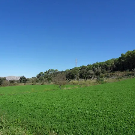Rurales Els Masos D'en Coll