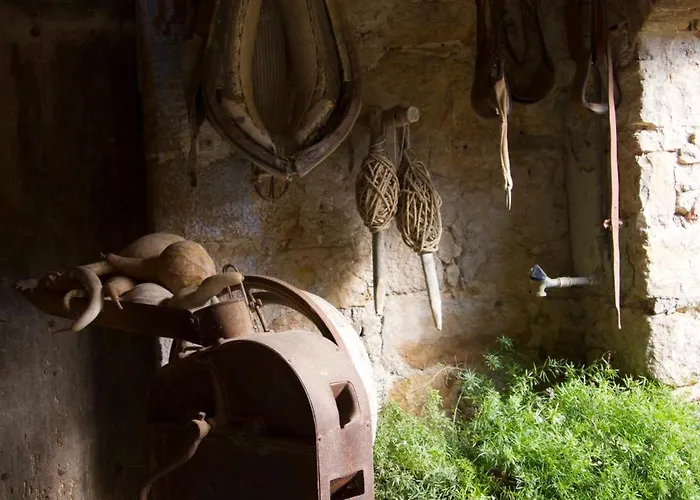 Rurales Els Masos D'en Coll Llaviá