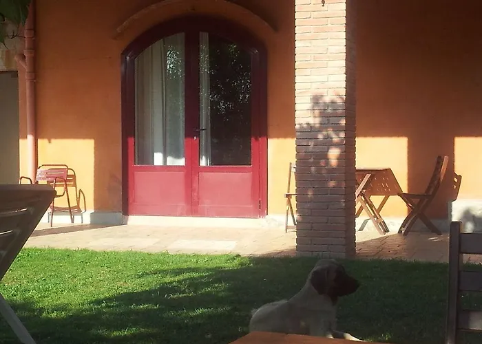 Rurales Els Masos D'en Coll Gospodarstwo wiejskie Llaviá