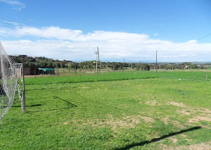 Rurales Els Masos D'en Coll Gospodarstwo wiejskie
