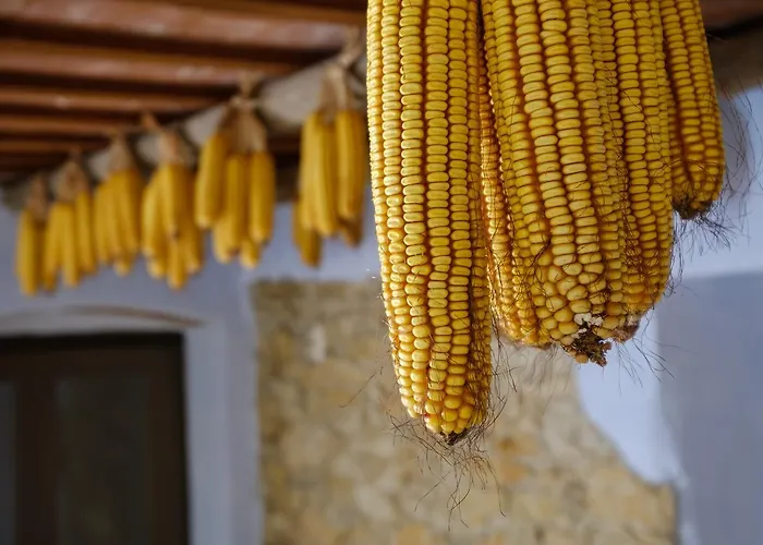 Rurales Els Masos D'en Coll Gospodarstwo wiejskie Llaviá