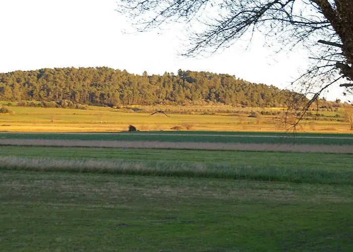 Gospodarstwo wiejskie Rurales Els Masos D'en Coll Llaviá