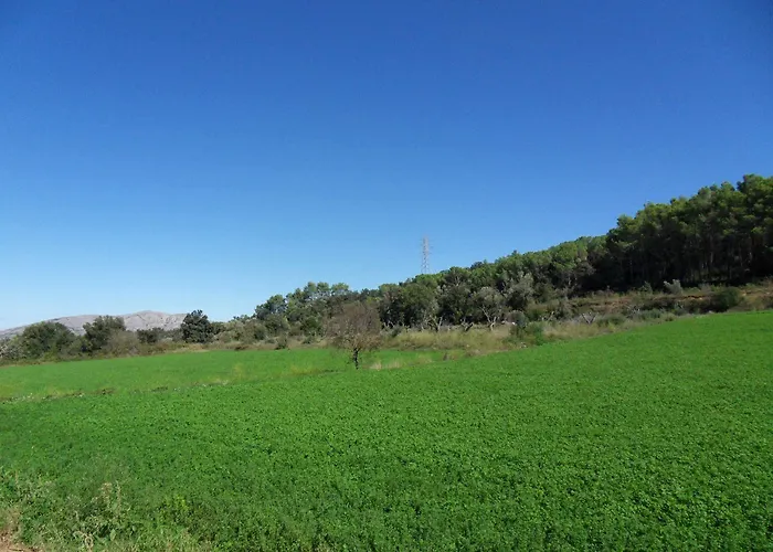 Rurales Els Masos D'en Coll