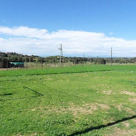 Els Masos D'en Coll Casa rural